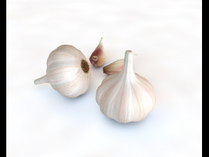 garlic clove 3Dモデル