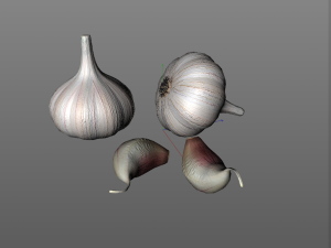 garlic clove 3Dモデル