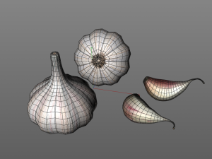 garlic clove 3Dモデル