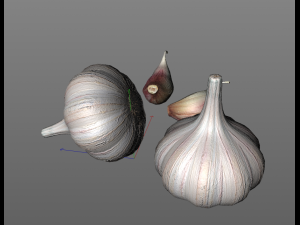 garlic clove 3Dモデル