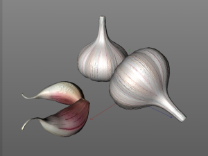 garlic clove 3Dモデル