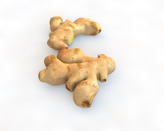 ginger Modelo 3D .c4d .max .obj .3ds .fbx .stl .blend 