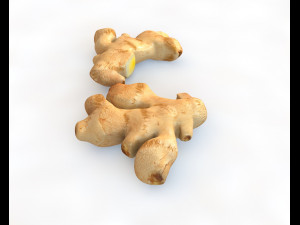 ginger 3D Model