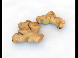 ginger 3D Model