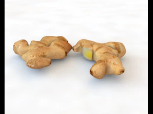 ginger 3D Model