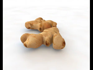 ginger 3D Model