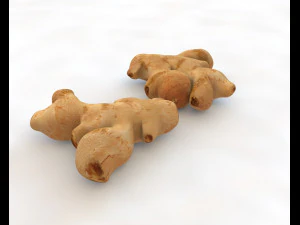 ginger 3D Model