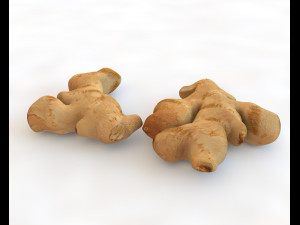ginger Modelo 3D