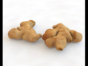 ginger 3D Model