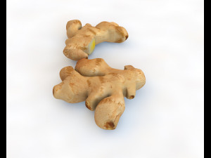 ginger Modelo 3D