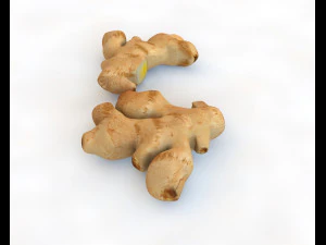 ginger 3D Model