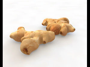 ginger 3D Model