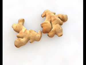 ginger 3D Model