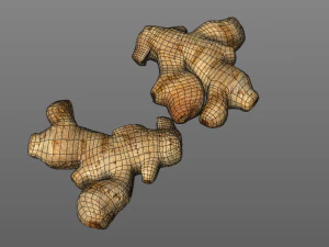ginger 3D Model