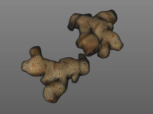ginger 3D Model