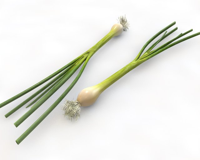 green onions 3D Модель .c4d .max .obj .3ds .fbx .stl .blend 