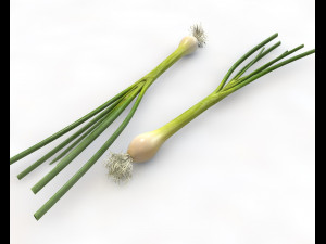 green onions 3D Model