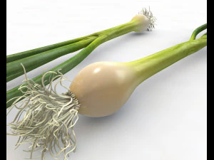 green onions 3D Model