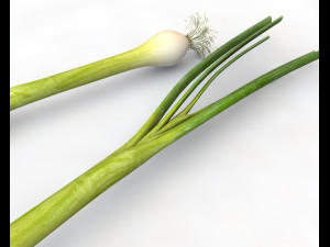 green onions 3D Модель