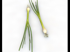 green onions 3D Модель