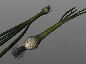 green onions 3D Model