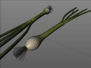 green onions 3D Model