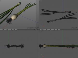 green onions 3D Модель