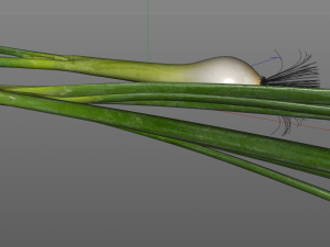 green onions 3D Модель