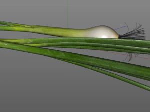 green onions 3D Model