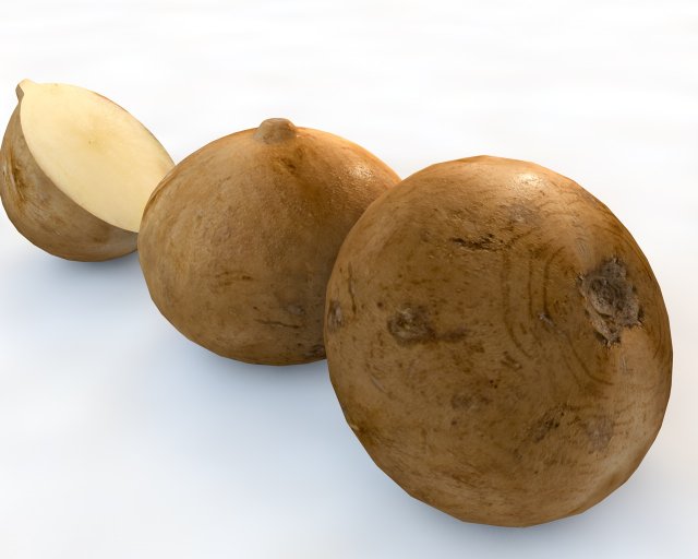 jicama 3D-Modell .c4d .max .obj .3ds .fbx .stl .blend 
