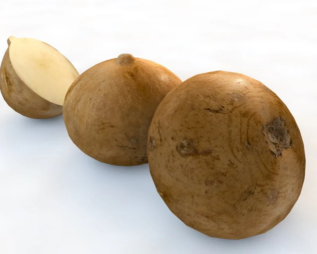 jicama 3D Model .c4d .max .obj .3ds .fbx .stl .blend 