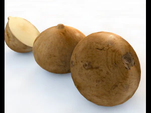 jicama Modelo 3D