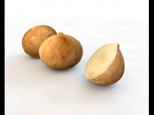 jicama 3D Model