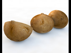 jicama 3D-Modell