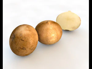 jicama 3D Model