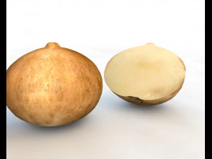 jicama 3D Model