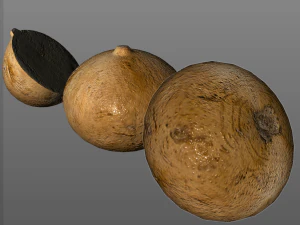 jicama 3D Model