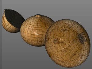 jicama 3D Model