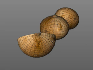 jicama 3D Model