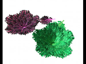 kale 3D Model