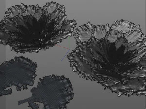 kale 3D Model