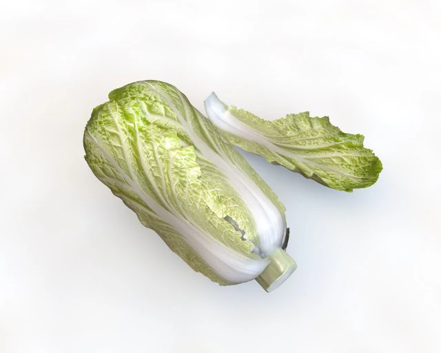 kimchi napa cabbage 3D Model .c4d .max .obj .3ds .fbx .stl .blend 