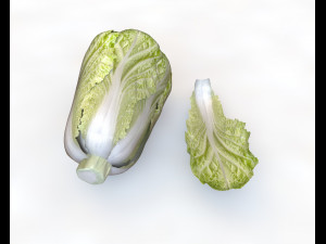 kimchi napa cabbage 3D Model