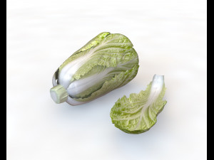 kimchi napa cabbage 3D Model