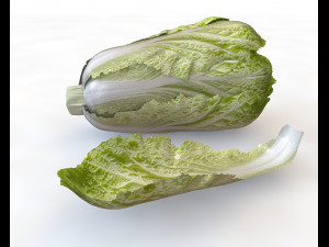 kimchi napa cabbage 3D Model