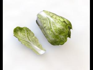 kimchi napa cabbage 3D Model