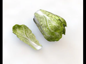 kimchi napa cabbage 3D Model