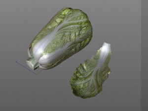 kimchi napa cabbage 3D Model