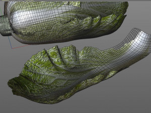 kimchi napa cabbage 3D Model