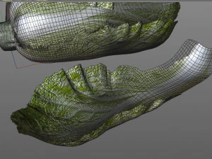 kimchi napa cabbage 3D Model